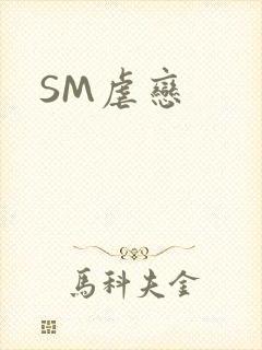 SM虐恋封面