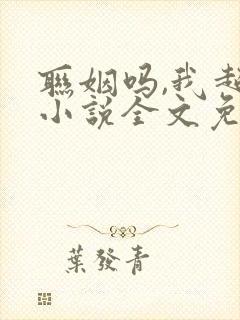 联姻吗,我超甜小说全文免费阅读