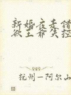 新婚夜走错门禁欲王爷失控沦陷封面