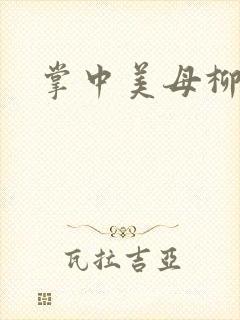 掌中美母柳玉茹封面