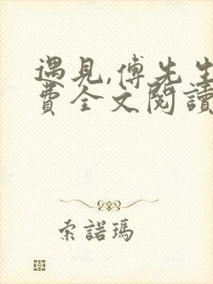 遇见,傅先生免费全文阅读