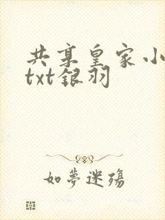 共享皇家小公主txt银羽
