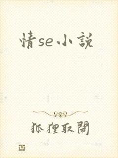 情se小说封面