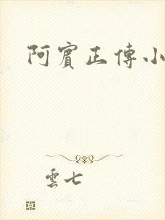 阿宾正传小说