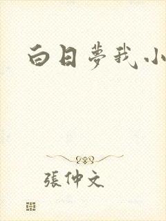 白日梦我小说