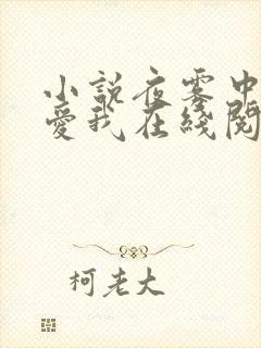 小说夜雾中无人爱我在线阅读