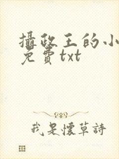 摄政王的小闲妻免费txt