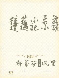 校花小柔舞蹈室遭遇记小说封面