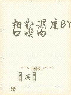 相对湿度BY大口吃肉