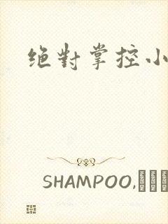 绝对掌控小说