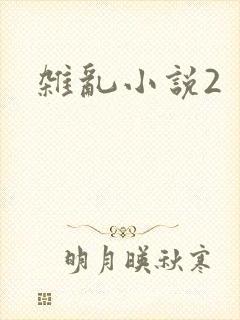 杂乱小说2
