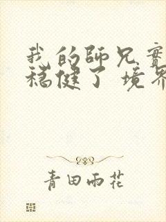我的师兄实在太稳健了 境界划分