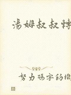 汤姆叔叔转接口