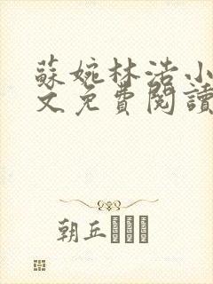 苏婉林浩小说全文免费阅读最新