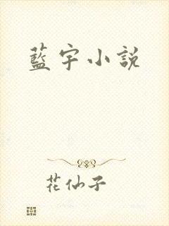 蓝宇小说封面
