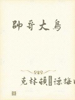 帅哥大鸟