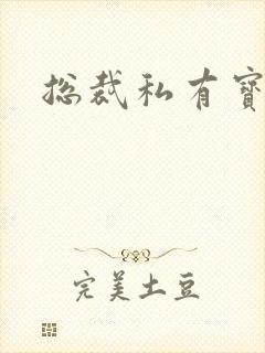 总裁私有宝贝