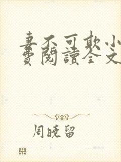 妻不可欺小说免费阅读全文封面
