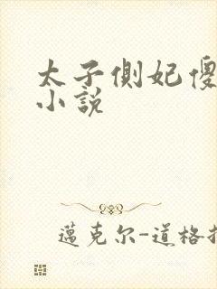 太子侧妃傻乎乎小说封面