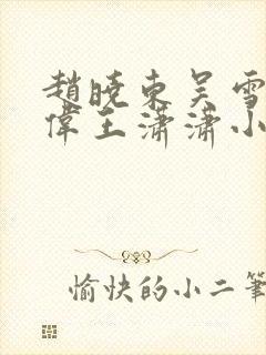 赵晓东吴雪晴郑伟王潇潇小说名字