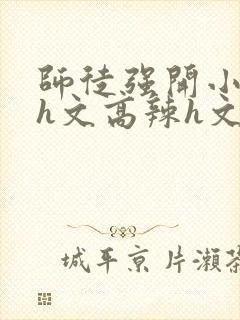 师徒强开小嫩苞h文高辣h文封面