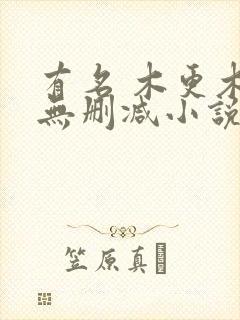 有名 木更木更无删减小说