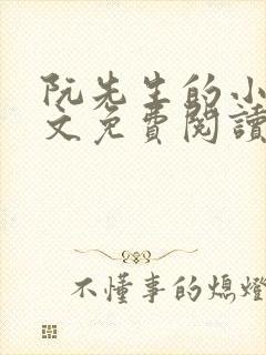 阮先生的小说全文免费阅读无弹窗