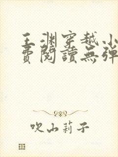 王渊穿越小说免费阅读无弹窗封面