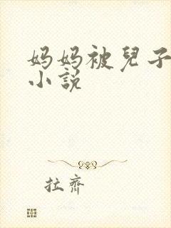 妈妈被儿子同学小说封面