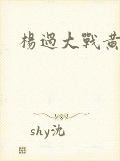 杨过大战黄蓉