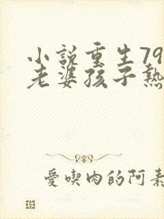 小说重生79:老婆孩子热炕头阅读
