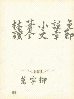 林萧小说免费阅读全文章节