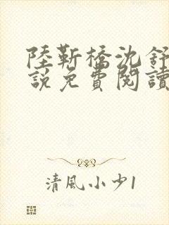 陆靳桥沈舒宁小说免费阅读最新章节封面