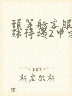 头等舱客服的特殊待遇2中字