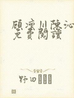 顾凛川陈沁小说免费阅读封面