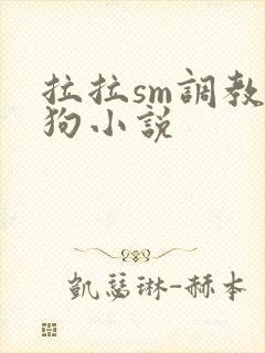 拉拉sm调教母狗小说