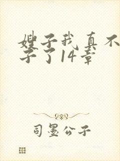 嫂子我真不是傻子了14章