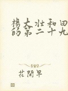 杨大壮和田桂花的第二十九