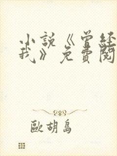小说《曾经爱过我》免费阅读封面