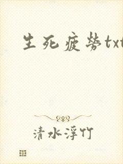 生死疲劳txt封面