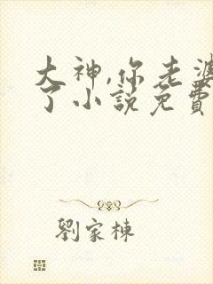 大神,你老婆掉了小说免费阅读