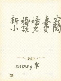 新婚娇妻宠上瘾小说免费阅读封面