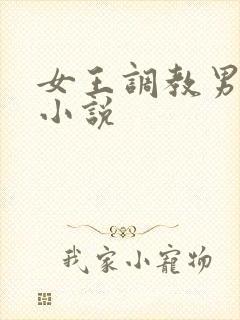 女王调教男性奴小说封面