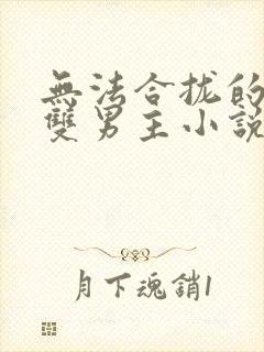 无法合拢的总裁双男主小说封面