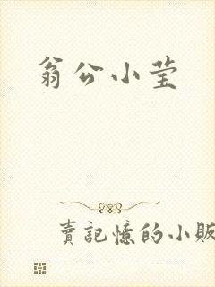 翁公小莹