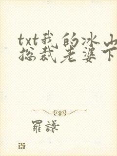 txt我的冰山总裁老婆下载封面