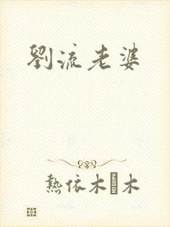 刘流老婆封面