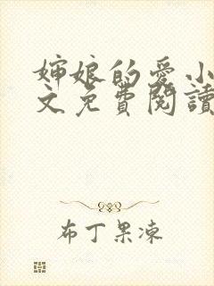婶娘的爱小说全文免费阅读封面