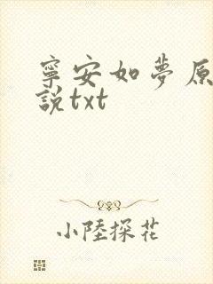 宁安如梦原著小说txt