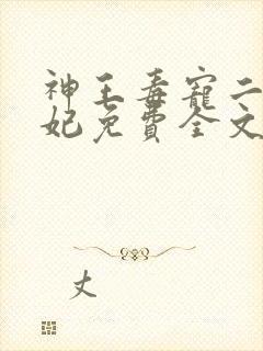 神王毒宠二嫁王妃免费全文阅读
